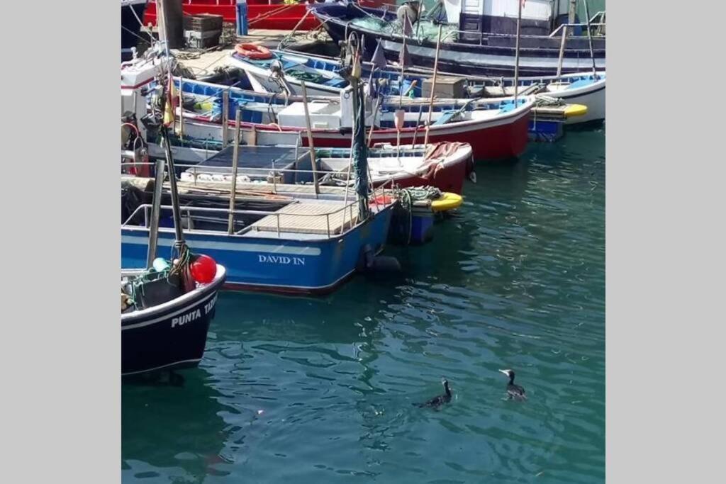 הוילה לסטרס Pexe Na Mar מראה חיצוני תמונה